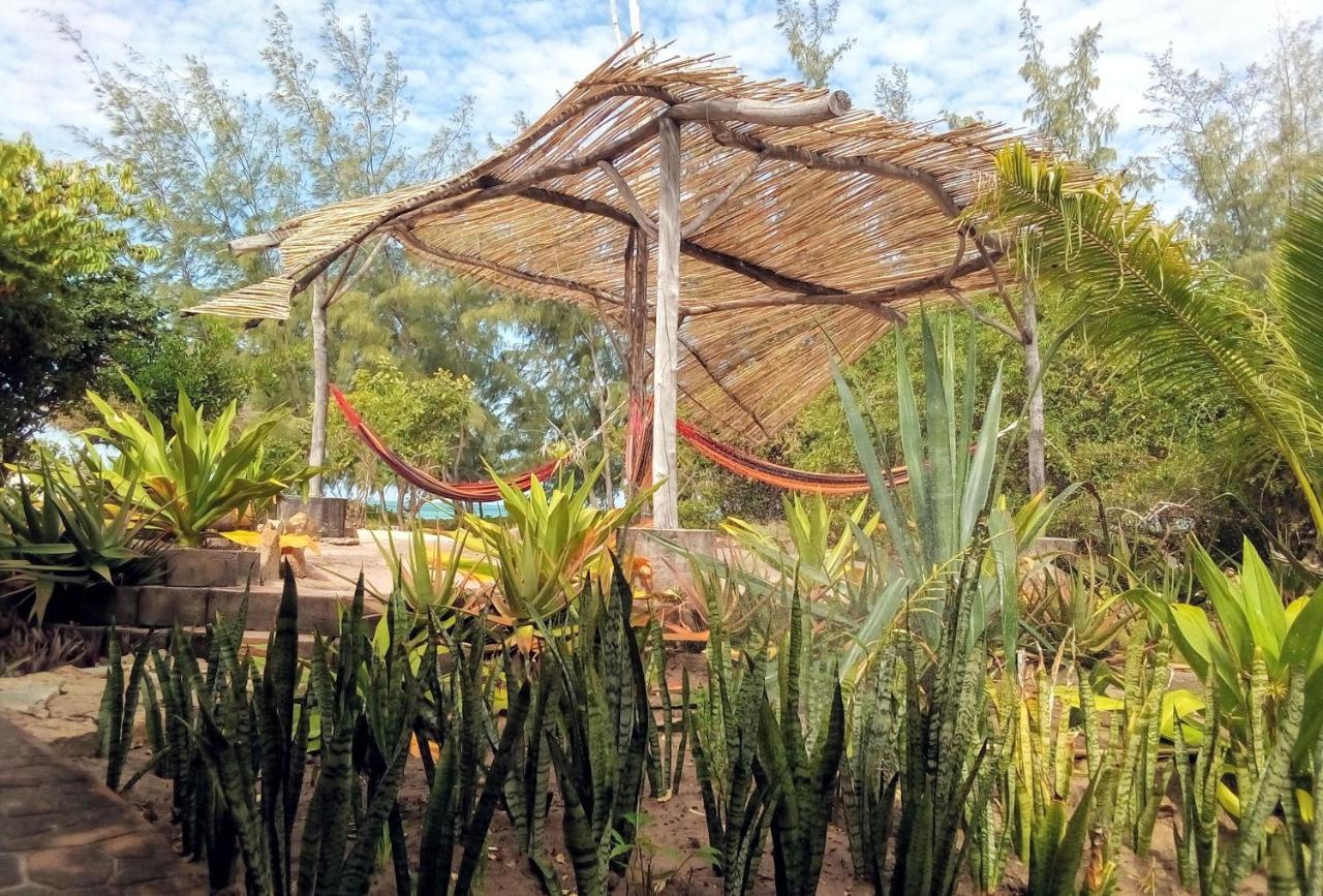 Nzuwa Lodge Pemba Exterior photo